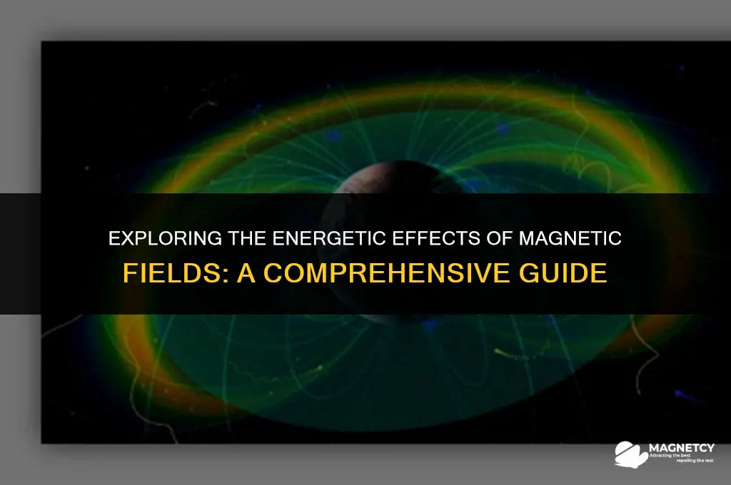 does the magnetic field do work