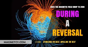 Unraveling the Mystery: Earth's Magnetic Field Reversal Explained