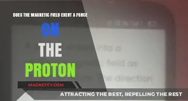 Unveiling the Interaction: Magnetic Fields and Protons Explained