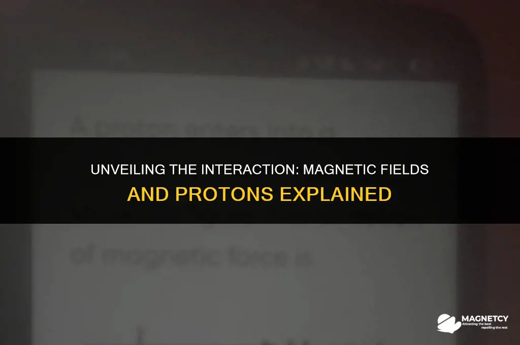 does the magnetic field exert a force on the proton