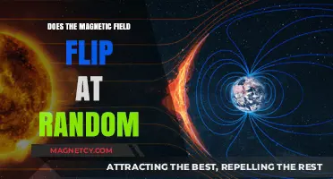 Unpredictable Reversals: The Random Nature of Magnetic Field Flips