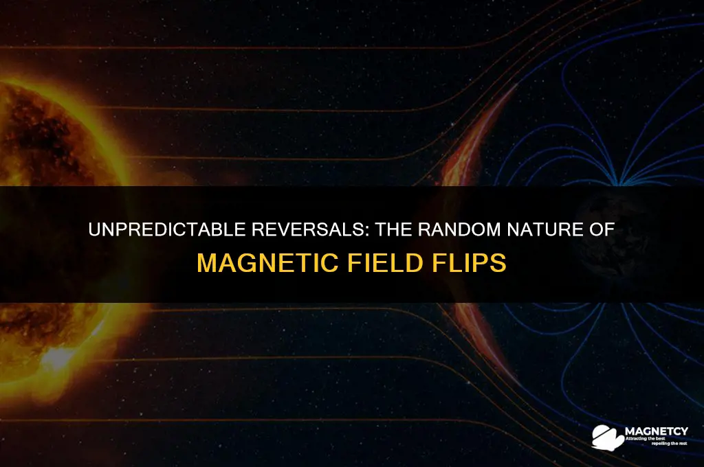 does the magnetic field flip at random