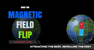 Exploring the Mysteries of Earth's Magnetic Field Reversals
