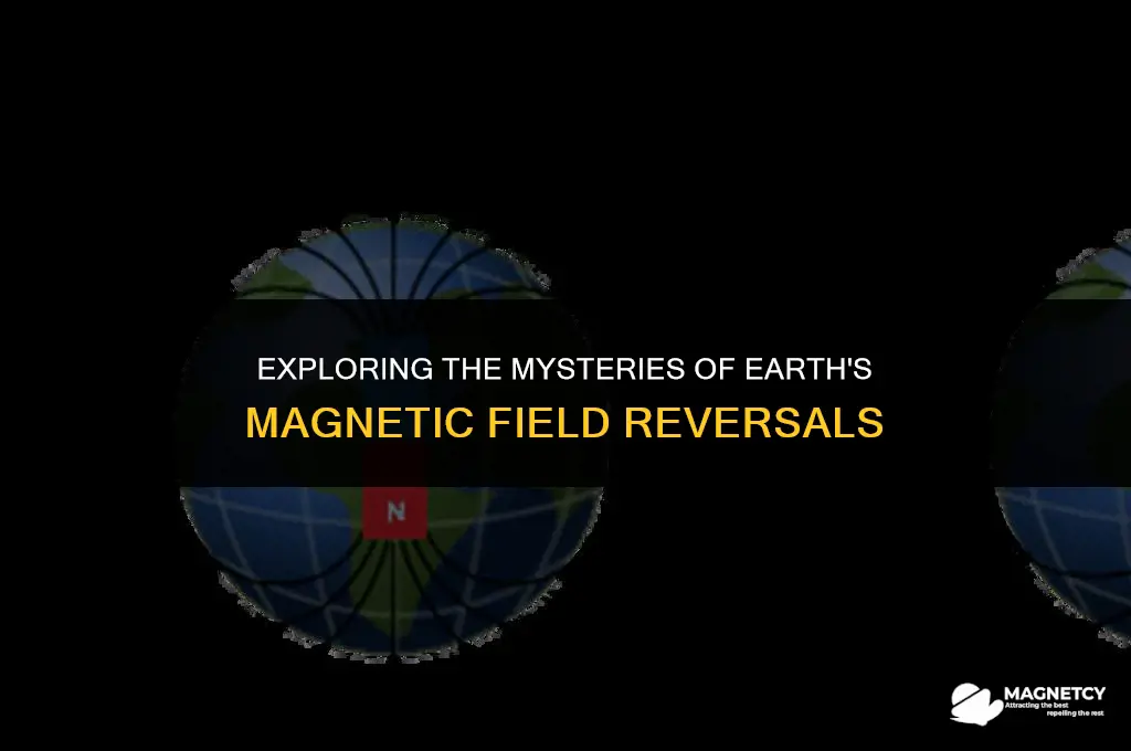 does the magnetic field flip