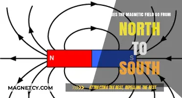Exploring Earth's Magnetic Field: North to South Journey