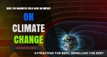 Exploring the Link Between Magnetic Fields and Climate Change