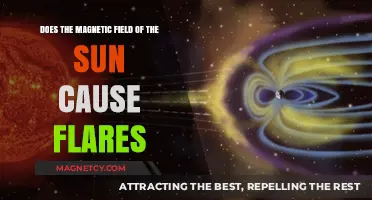Solar Storms Unveiled: The Magnetic Field's Role in Sun Flares