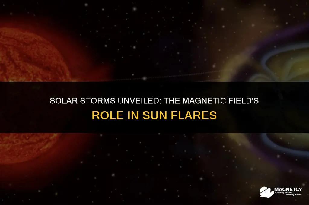 does the magnetic field of the sun cause flares