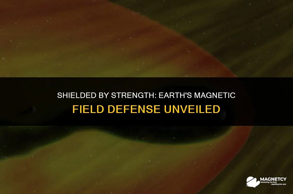 does the magnetic field protect earth