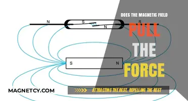 Exploring the Interaction Between Magnetic Fields and Forces