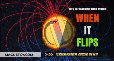 Exploring the Dynamics: Does the Magnetic Field Weaken When It Flips?