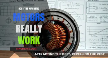 Exploring the Efficiency and Myths of Magnetic Motors
