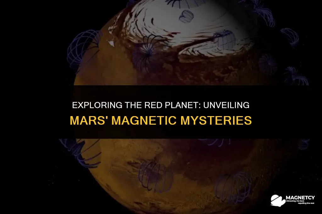 does the mars have a magnetic field