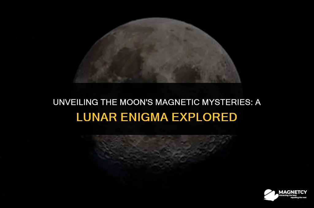 does the moon currently have a magnetic field