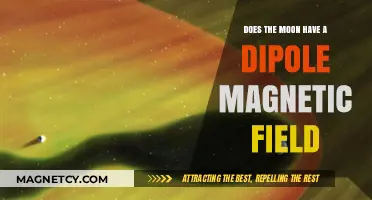 Unveiling the Moon's Magnetic Mystery: Does It Have a Dipole Field?