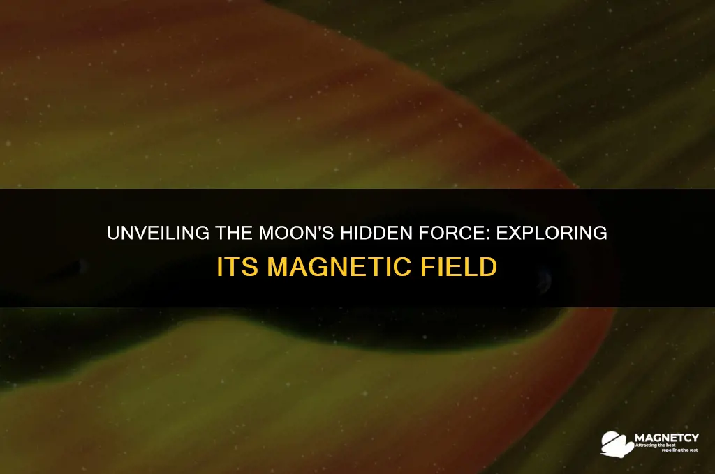 does the moon have a magnetic field