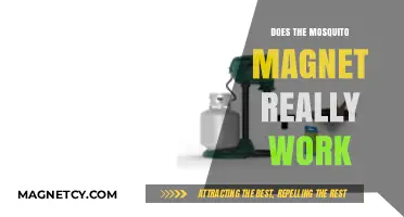 Unveiling the Truth: Do Mosquito Magnets Really Work?