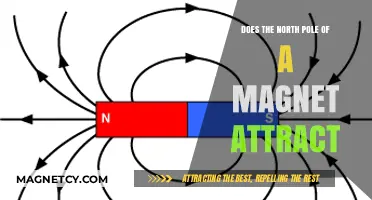 Does the North Pole of a Magnet Attract or Repel?