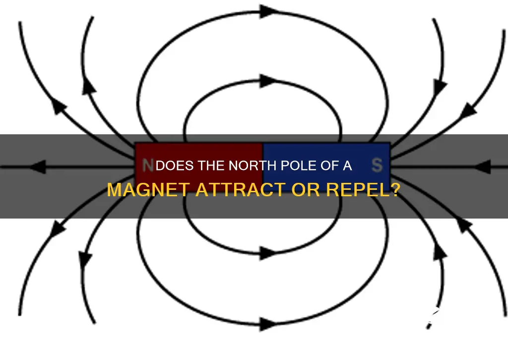 does the north pole of a magnet attract