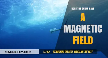 Exploring the Ocean's Hidden Force: Does It Have a Magnetic Field?
