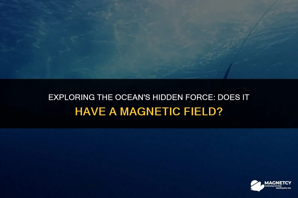 does the ocean have a magnetic field