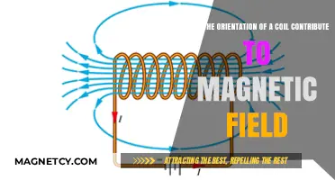 Exploring the Impact of Coil Orientation on Magnetic Fields