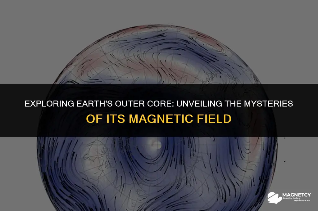 does the outer core have a magnetic field