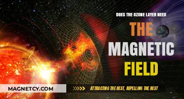 Exploring the Ozone Layer's Magnetic Field Dependency