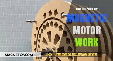 Exploring the Viability of Perendev Magnetic Motors: A Deep Dive