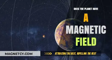 Exploring Earth's Invisible Shield: The Magnetic Field Mystery