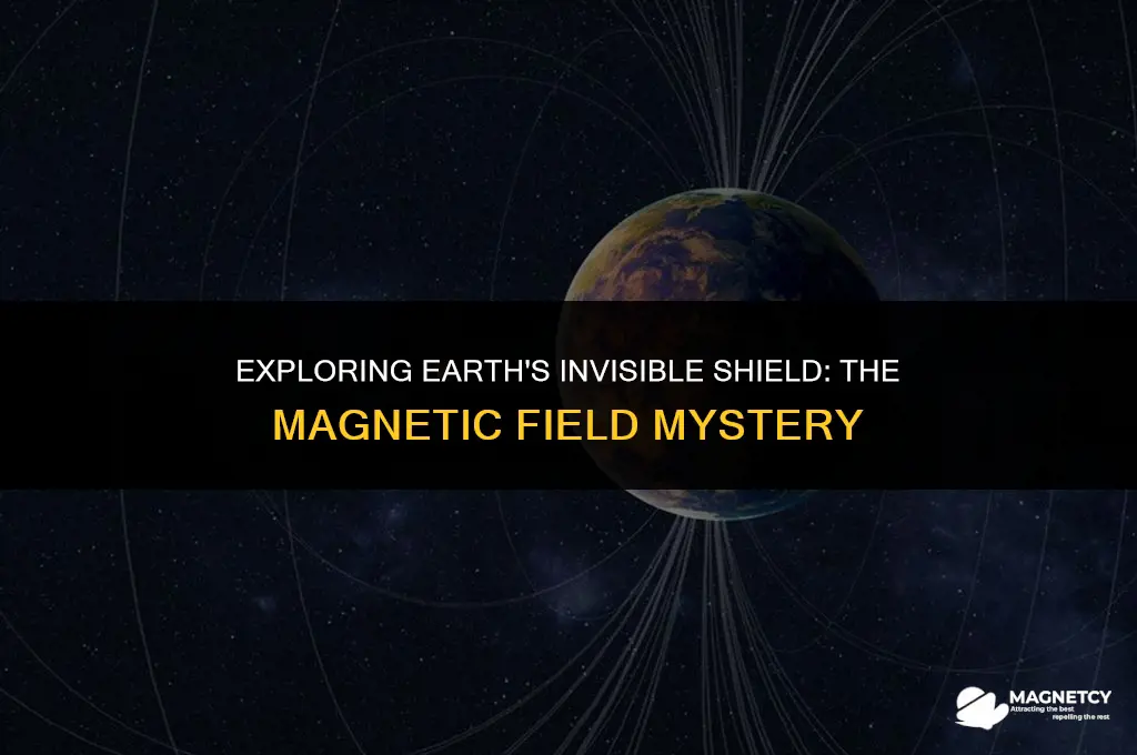 does the planet have a magnetic field