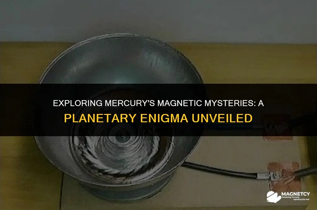 does the planet mercury have a magnetic field