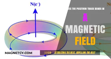 Exploring Positron Trajectories: How Magnetic Fields Influence Their Path