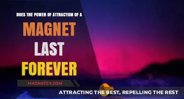 Magnetic Eternity: Does a Magnet's Attraction Truly Last Forever?