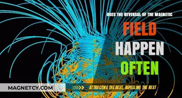 Unveiling the Mysteries: How Frequently Does Earth's Magnetic Field Reverse?