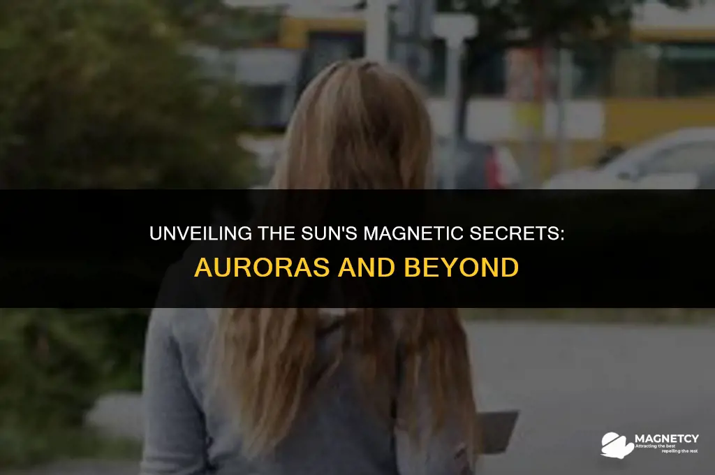 does the sun have a magnetic field aurora