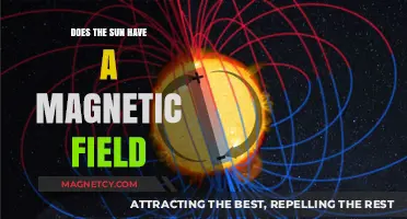 Unveiling the Sun's Invisible Force: The Magnetic Field Mystery
