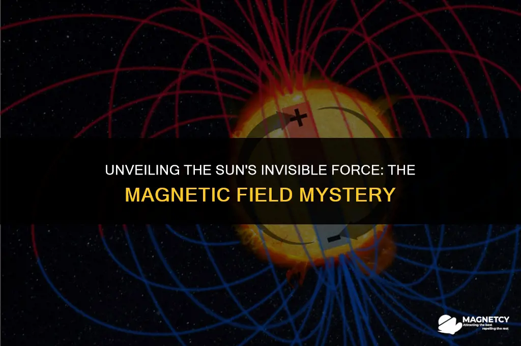 does the sun have a magnetic field