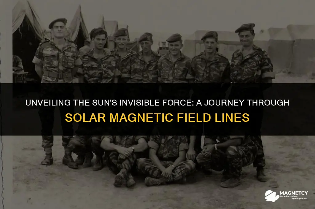 does the sun have magnetic field lines