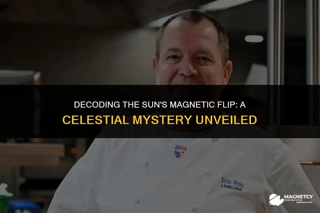 does the sun magnetic field flip