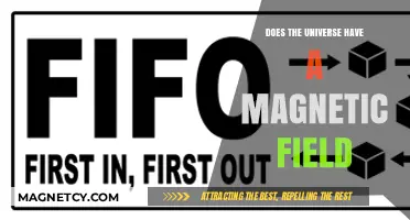 Exploring the Cosmos: Does the Universe Harbor a Magnetic Field?