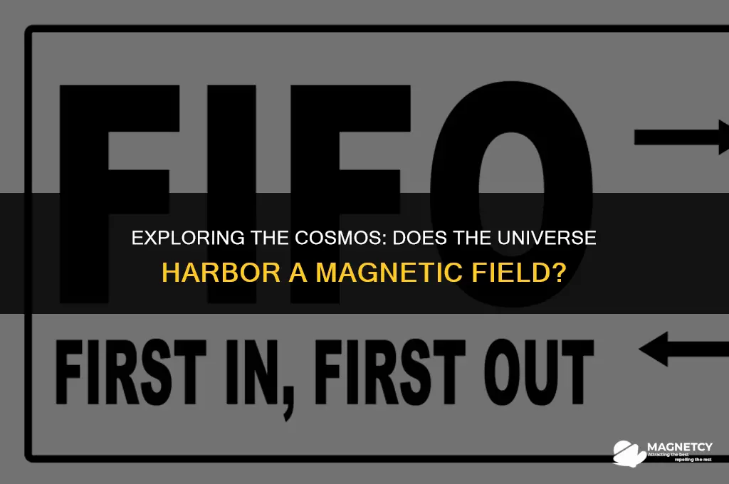 does the universe have a magnetic field