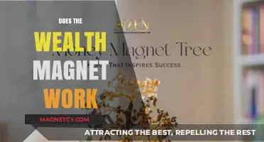 Unlocking Prosperity: The Truth Behind Wealth Magnet Techniques