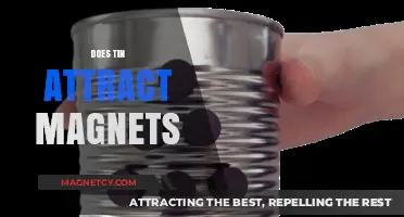 Does Tin Attract Magnets? Unveiling the Magnetic Properties of Tin