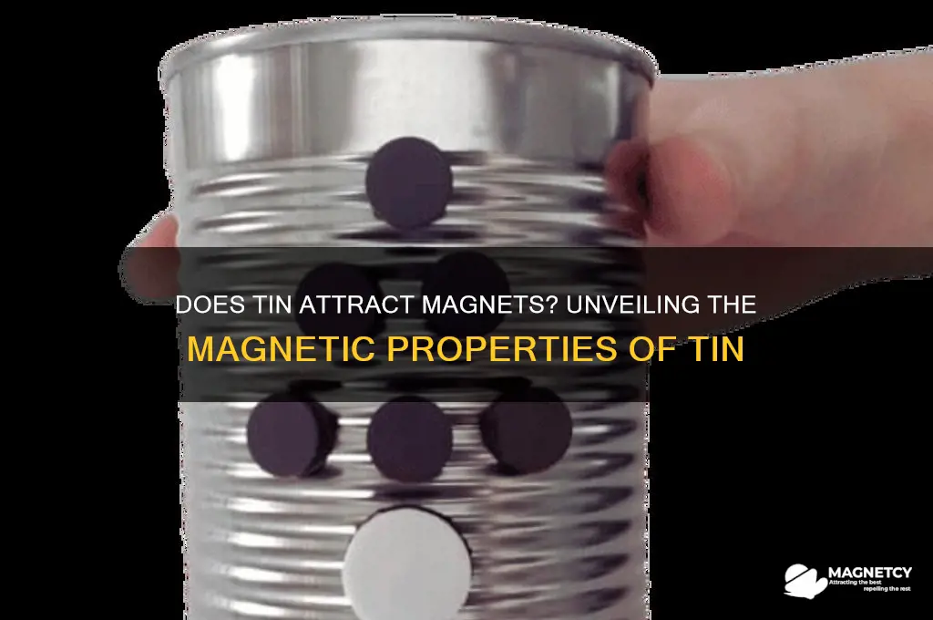 does tin attract magnets