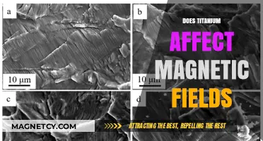 Exploring Titanium's Influence on Magnetic Fields: A Comprehensive Guide