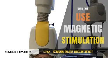 TMS Explained: How Magnetic Stimulation Works in Brain Therapy