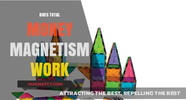 Unlocking Financial Abundance: The Truth Behind Total Money Magnetism