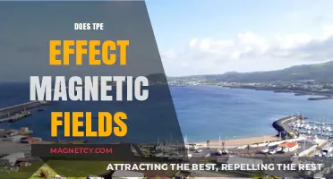 Exploring the Impact of TPE on Magnetic Fields: A Comprehensive Guide