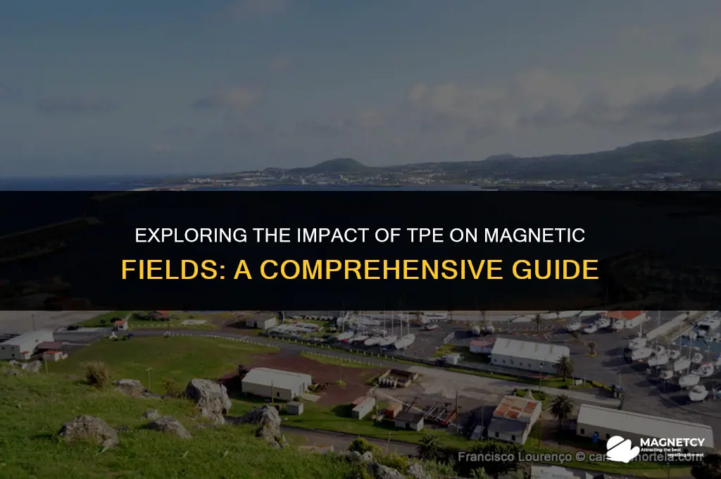 does tpe effect magnetic fields